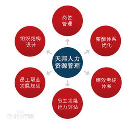 鄭州社保公積金代理、勞務(wù)派遣及人事外包服務(wù)市場概況